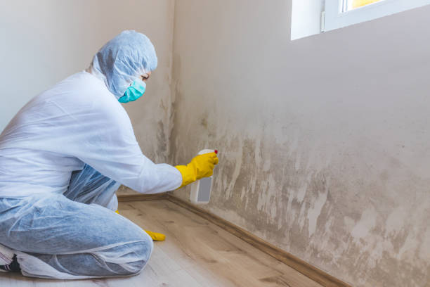 Hvac And Air Duct Mold Remediation inspection of HVAC system in Paeonian Springs