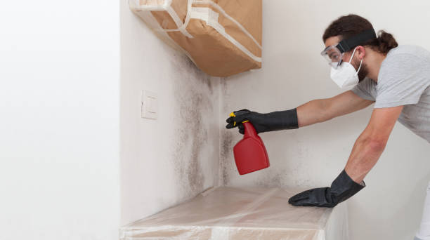 Attic Mold Remediation treatment on roof deck in Paeonian Springs