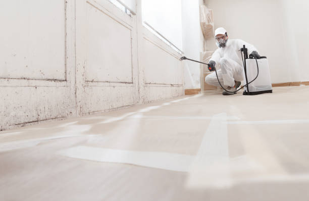 Black mold remediation team in Paeonian Springs